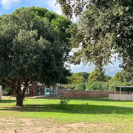 Duplex 4 Pieces 74 M2 En Corse A Cala Rossa Dans Avec Piscine